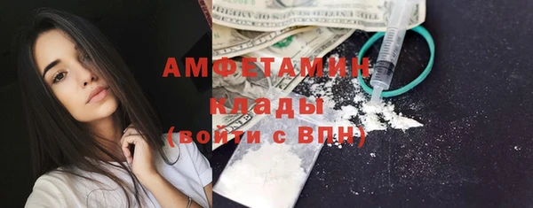 стаф Богородск