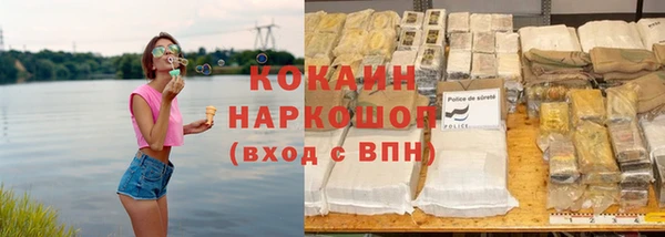 стаф Богородск