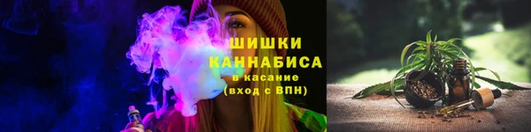 не бодяженный Бородино