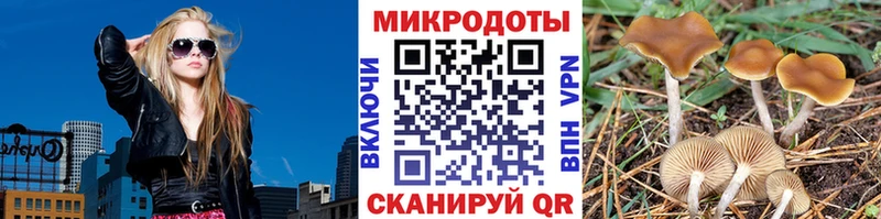 Купить  Мглин  Псилоцибиновые грибы MAGIC MUSHROOMS 